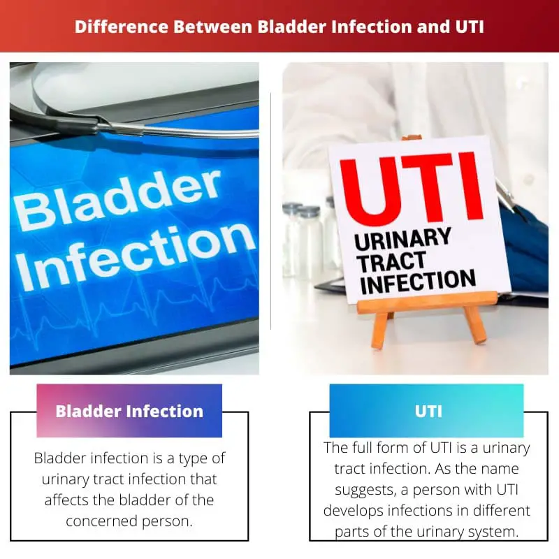 Différence entre infection de la vessie et infection urinaire
