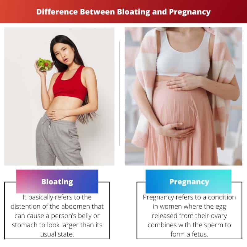 Difference Between Bloating And Pregnancy Updated 2022 