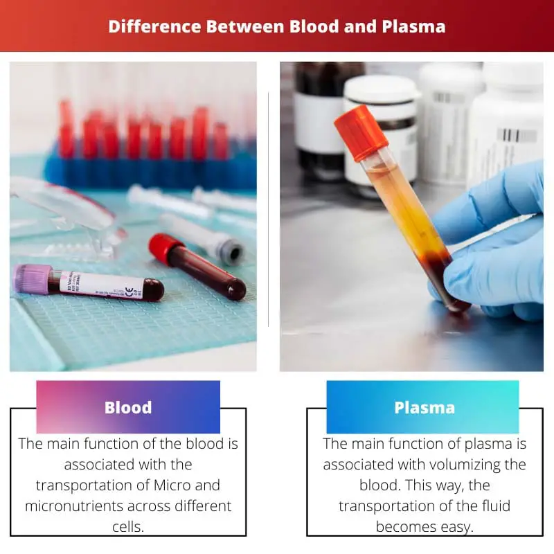 Atšķirība starp asinīm un plazmu