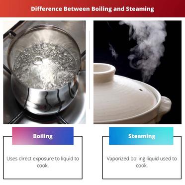 The Difference Between Pressure Cooking and Steaming - Corrie Cooks