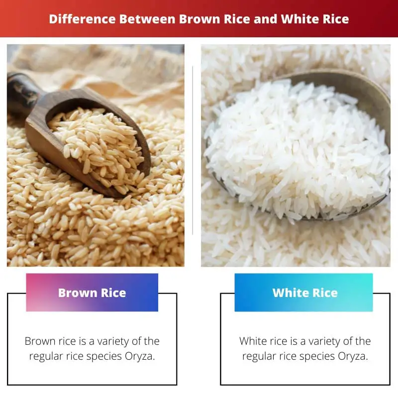Atšķirība starp brūnajiem rīsiem un baltajiem rīsiem