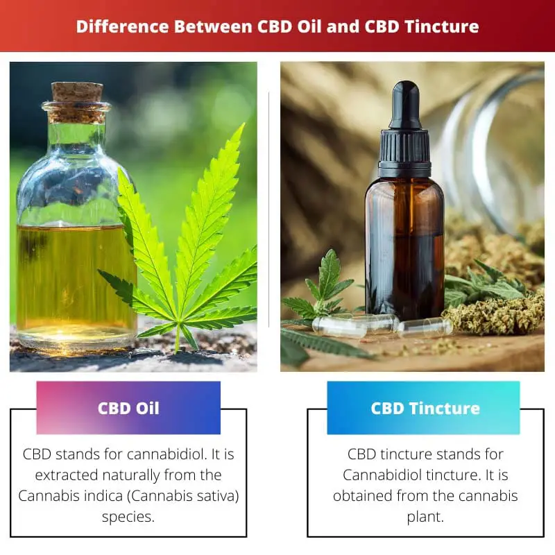 CBD油和CBD酊剂的区别