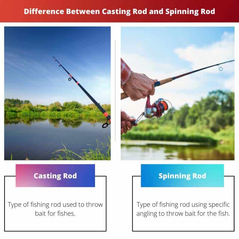 Difference Between Casting Rod and Spinning Rod