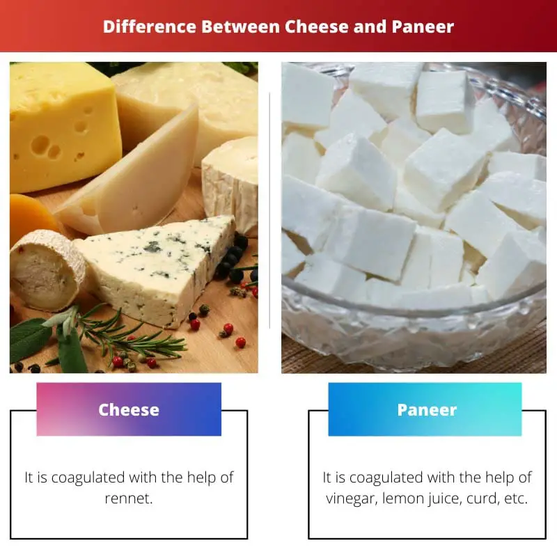 Difference Between Cheese and Paneer