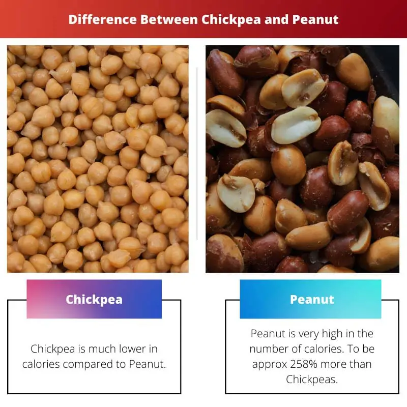 Difference Between Chickpea and Peanut