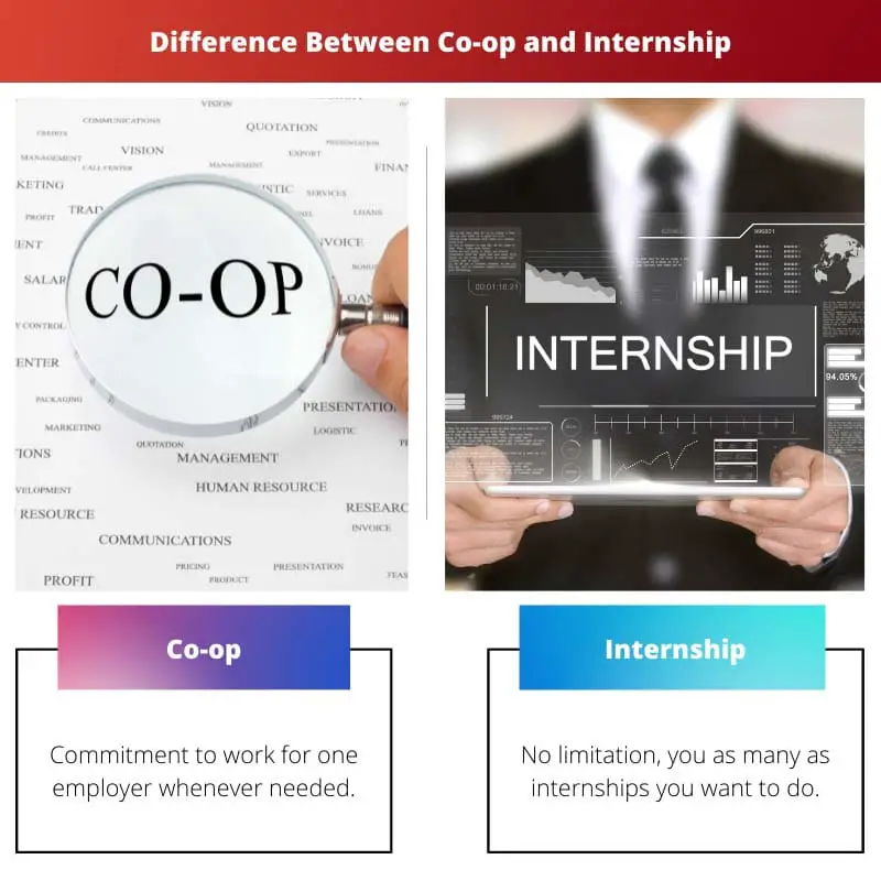 ความแตกต่างระหว่าง Co op และการฝึกงาน