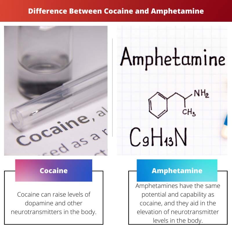 Verschil tussen cocaïne en amfetamine
