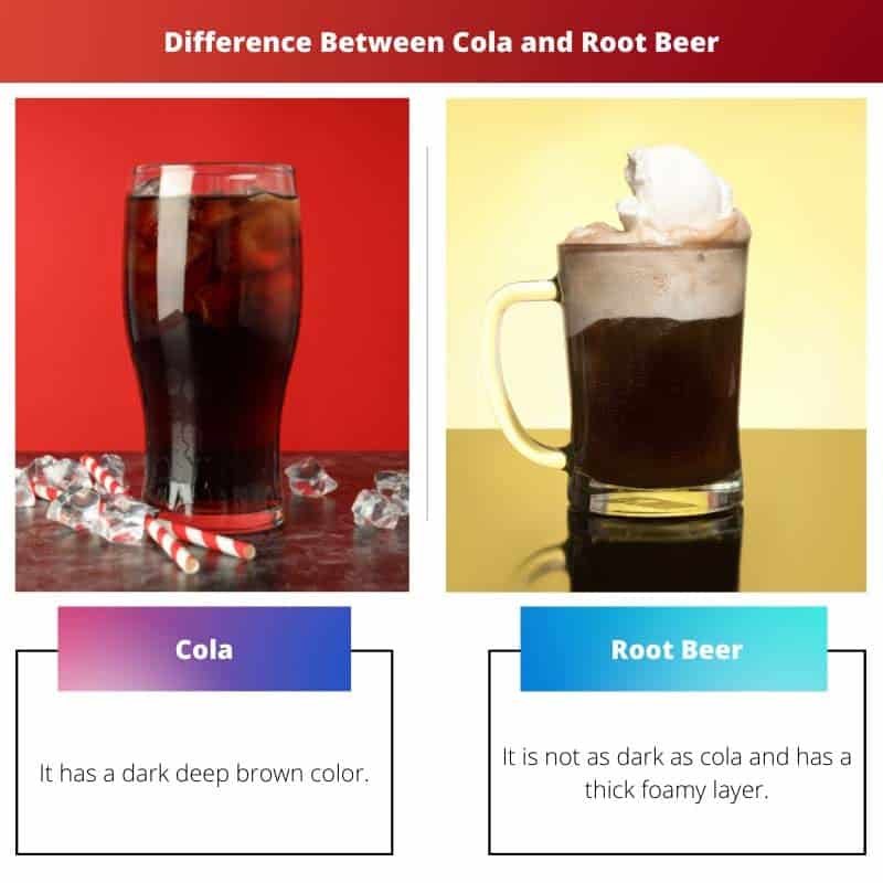 Diferença entre cola e cerveja de raiz