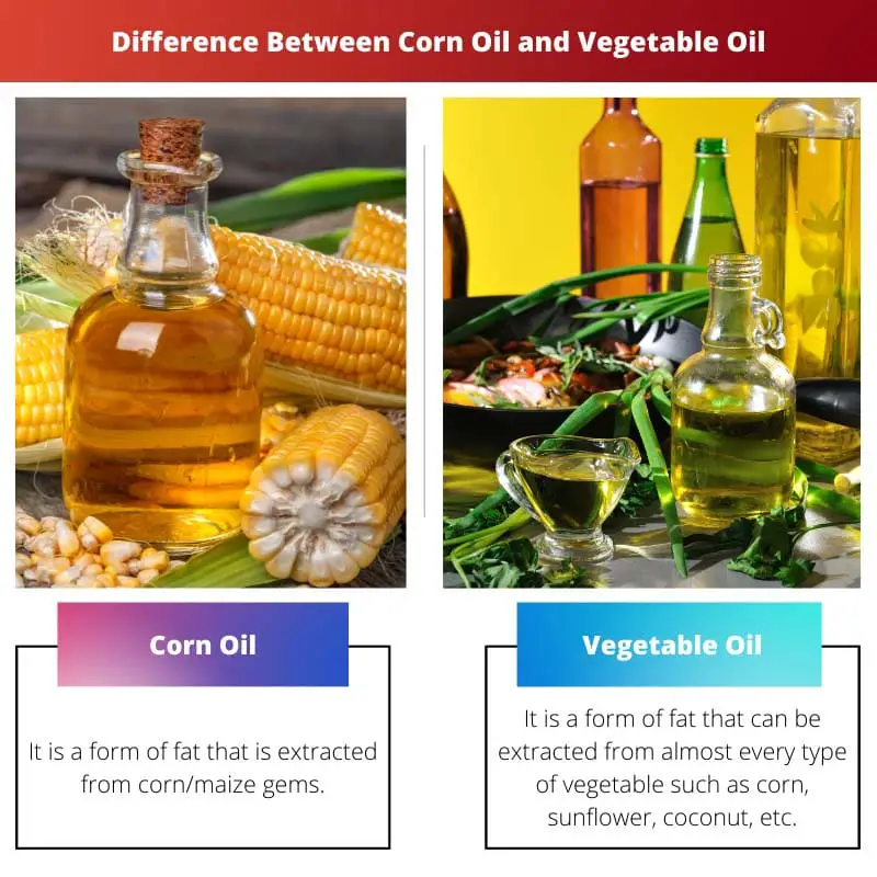 Differenza tra olio di mais e olio vegetale