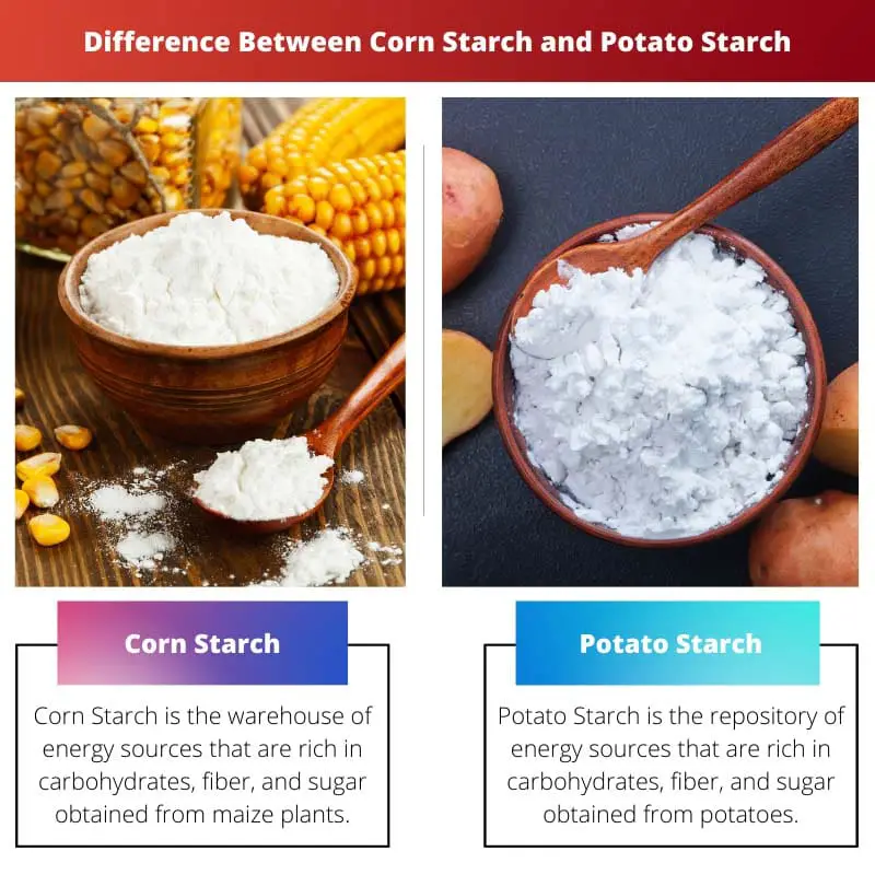 Razlika između kukuruznog i krumpirovog škroba