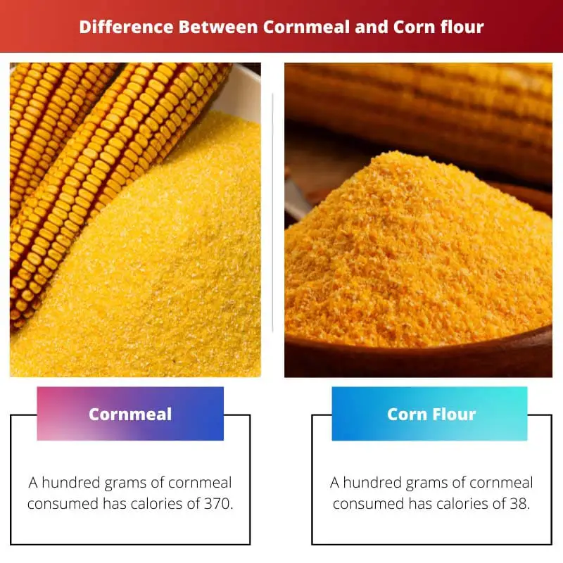 Diferencia entre harina de maíz y harina de maíz