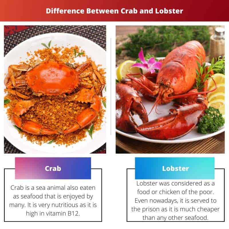 Différence entre le crabe et le homard