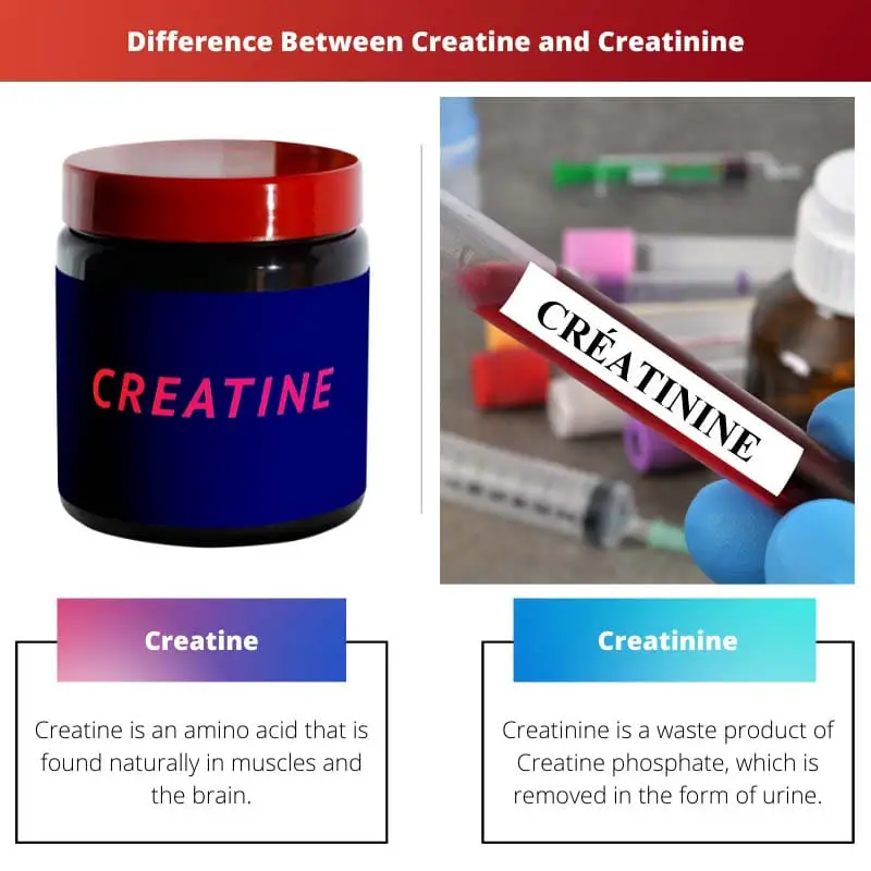 Verschil tussen creatine en creatinine
