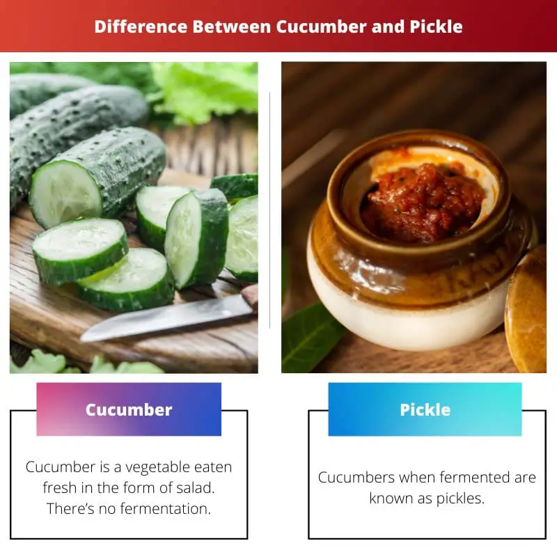 Verschil tussen komkommer en augurk