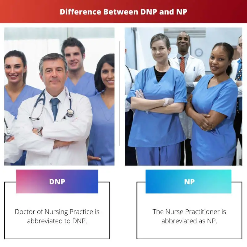 DNP 和 NP 之间的区别