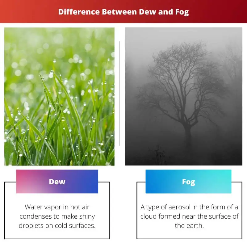 Difference Between Dew and Fog