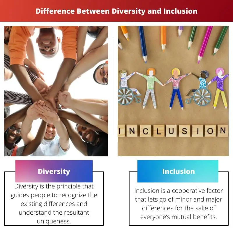 Difference Between Diversity and Inclusion