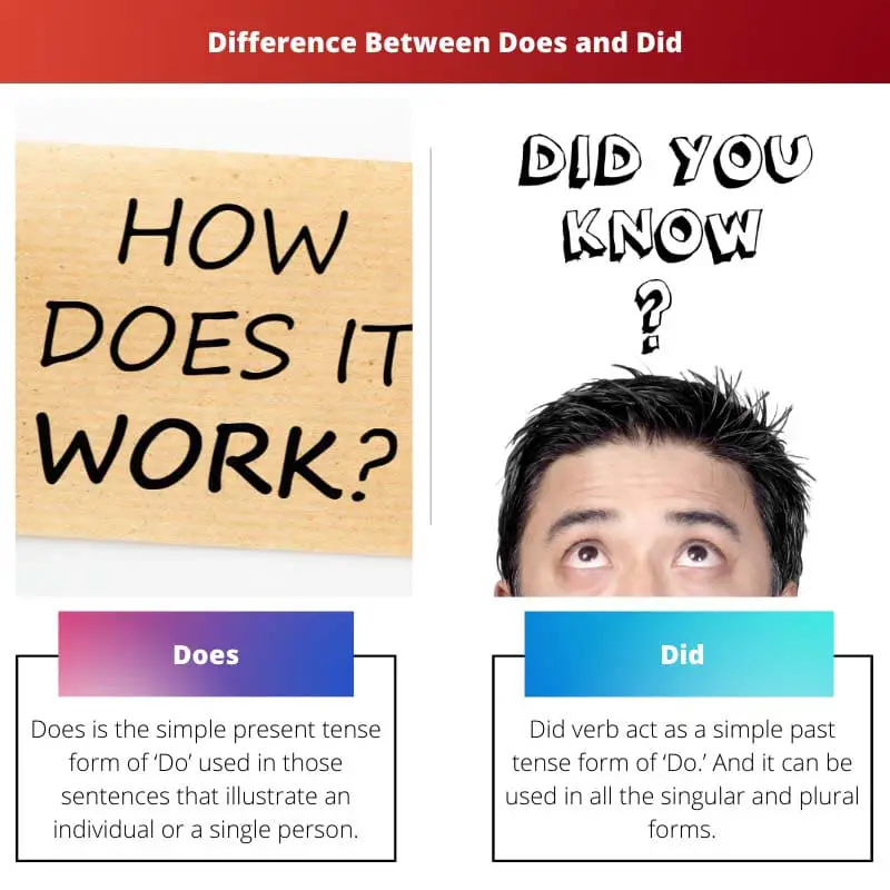 Difference Between Does and Did