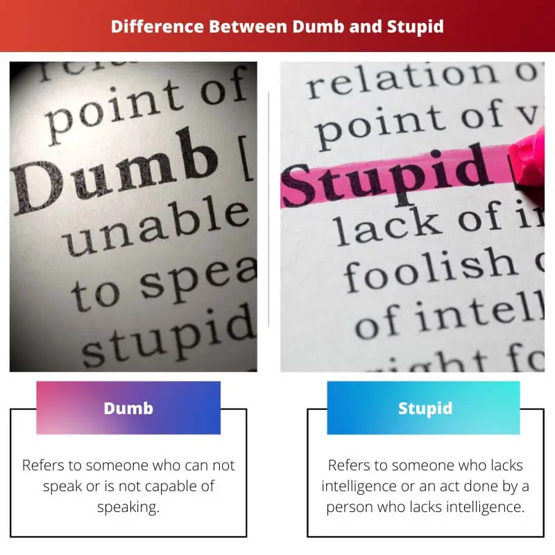 Difference Between Dumb and Stupid