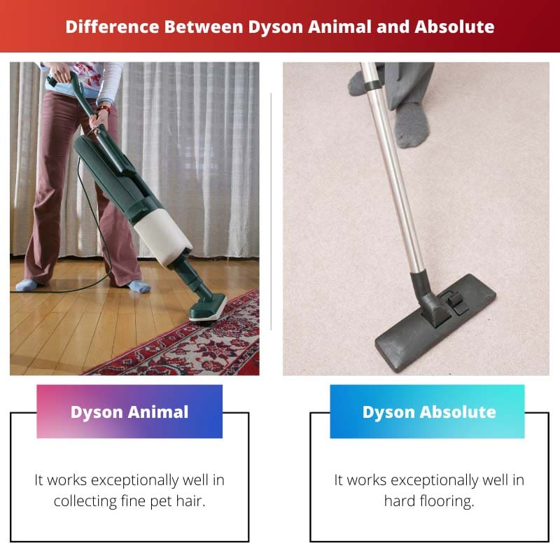 Différence entre Dyson Animal et Absolute