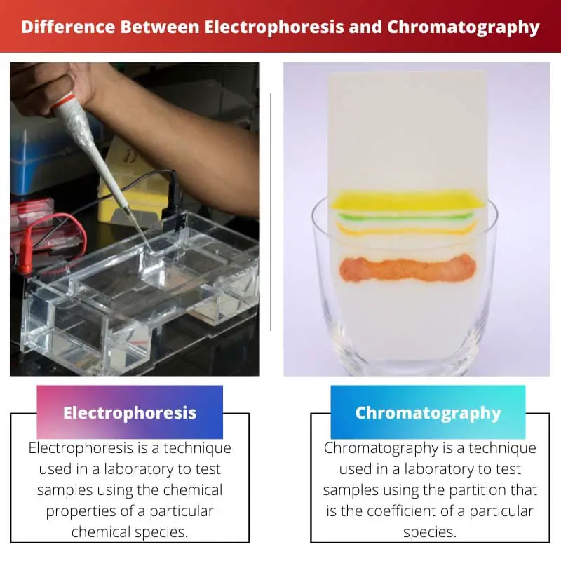 Diferencia entre electroforesis y cromatografía.