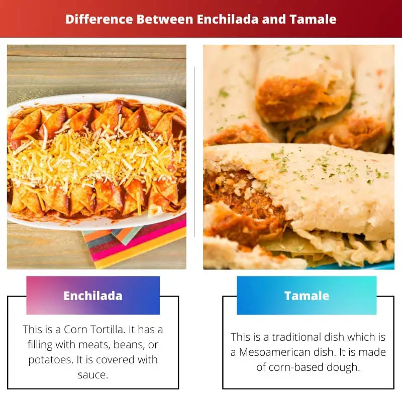 Difference Between Enchilada and Tamale