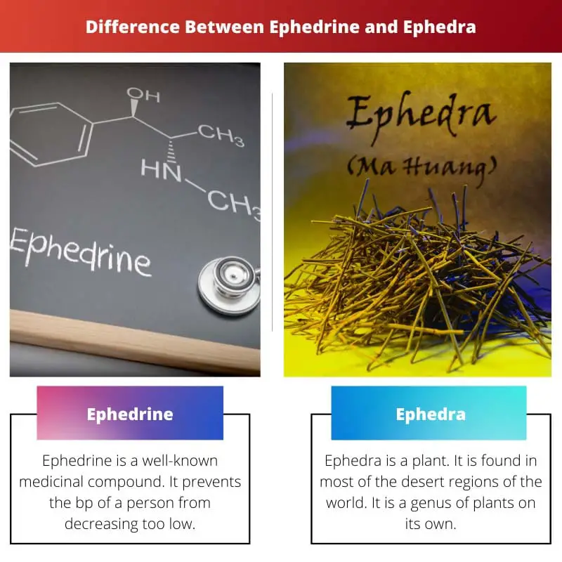 Verschil tussen efedrine en efedra