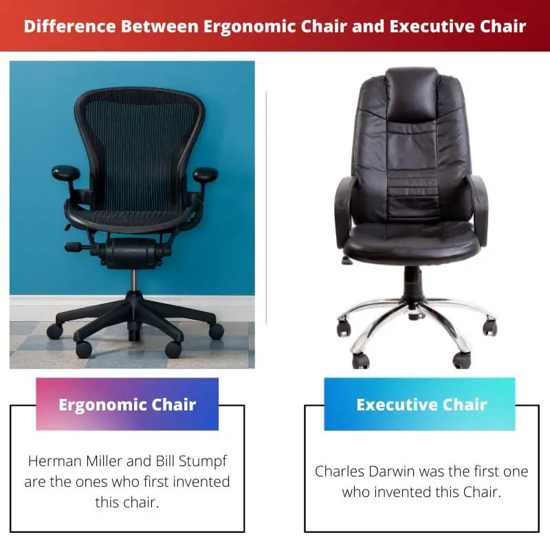 人間工学に基づいた椅子とエグゼクティブチェアの違い