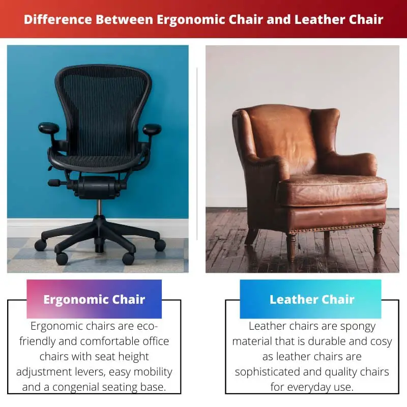 Rozdíl mezi ergonomickou židlí a koženou židlí
