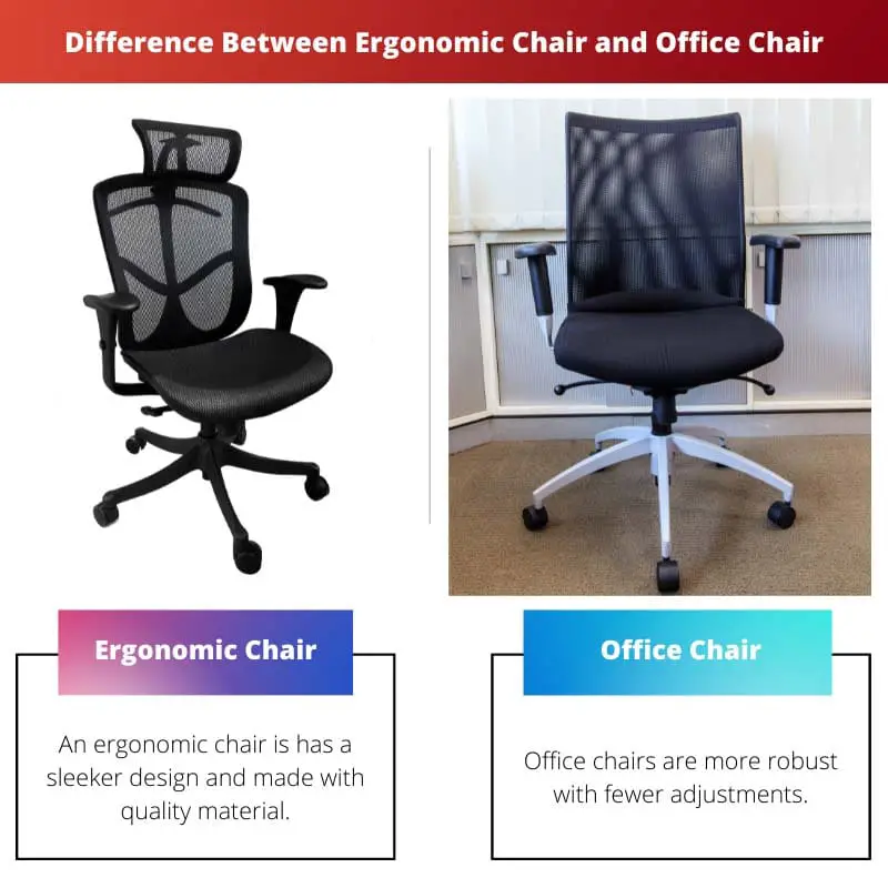 Difference Between Ergonomic Chair and Office Chair
