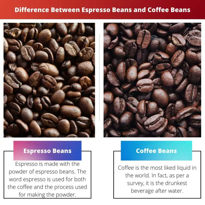Difference Between Espresso Beans and Coffee Beans