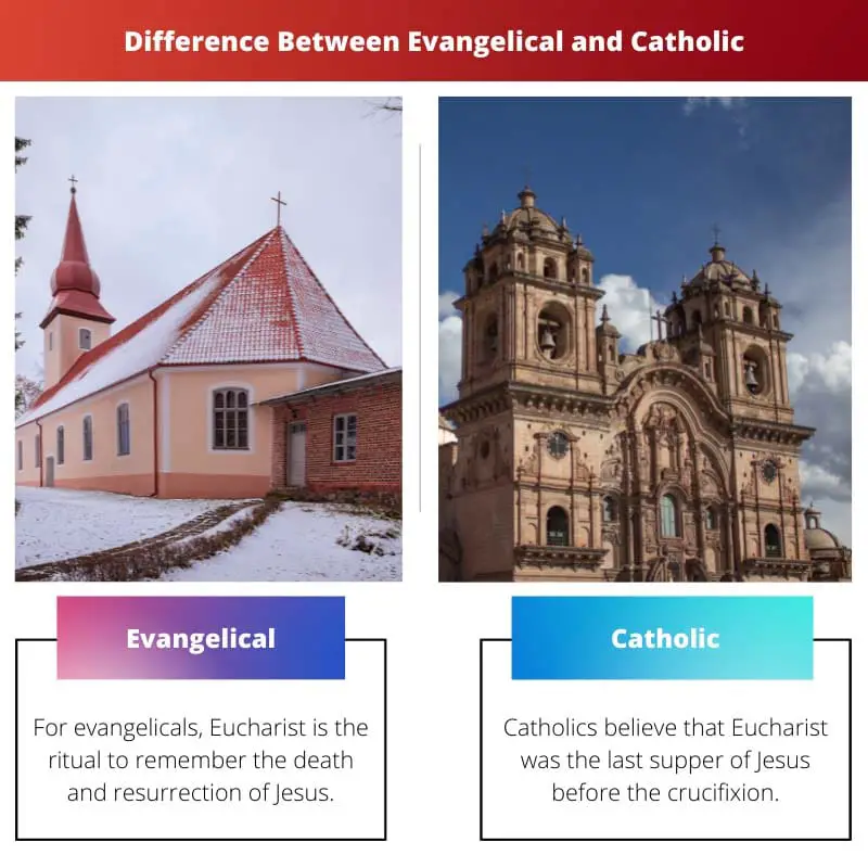 Difference Between Evangelical and Catholic