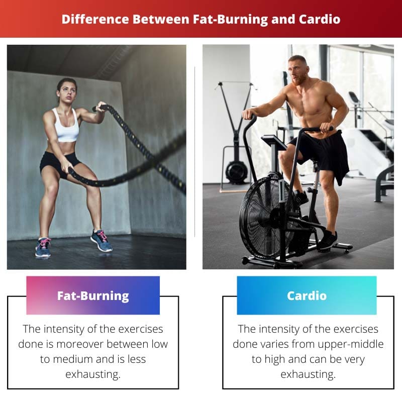 Sự khác biệt giữa Đốt cháy chất béo và Cardio
