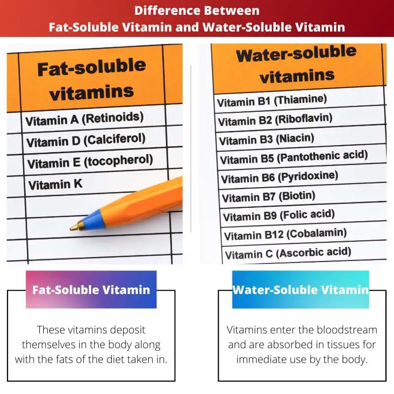 Difference Between Fat Soluble Vitamin and Water Soluble Vitamin