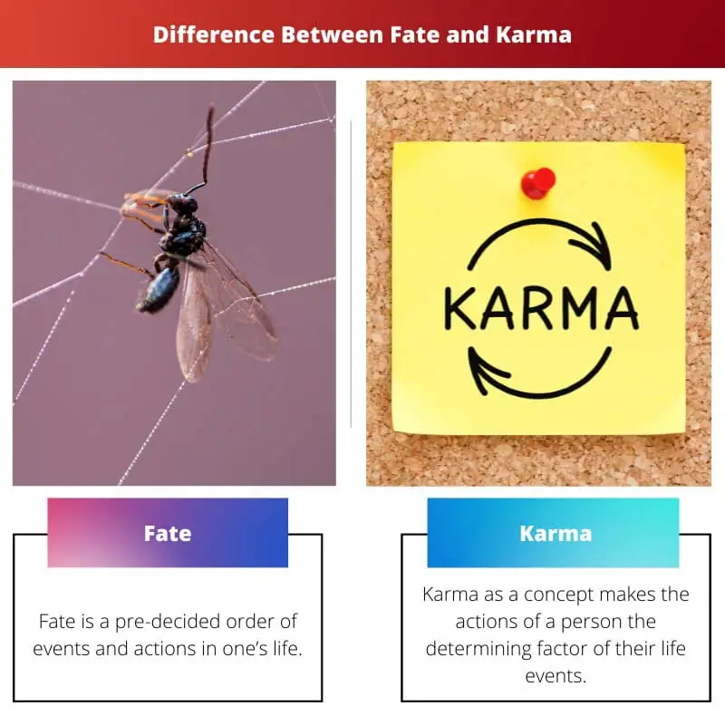 Unterschied zwischen Schicksal und Karma