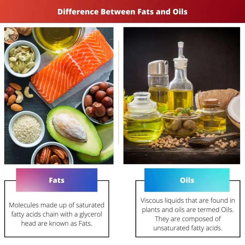 Sự khác biệt giữa chất béo và dầu