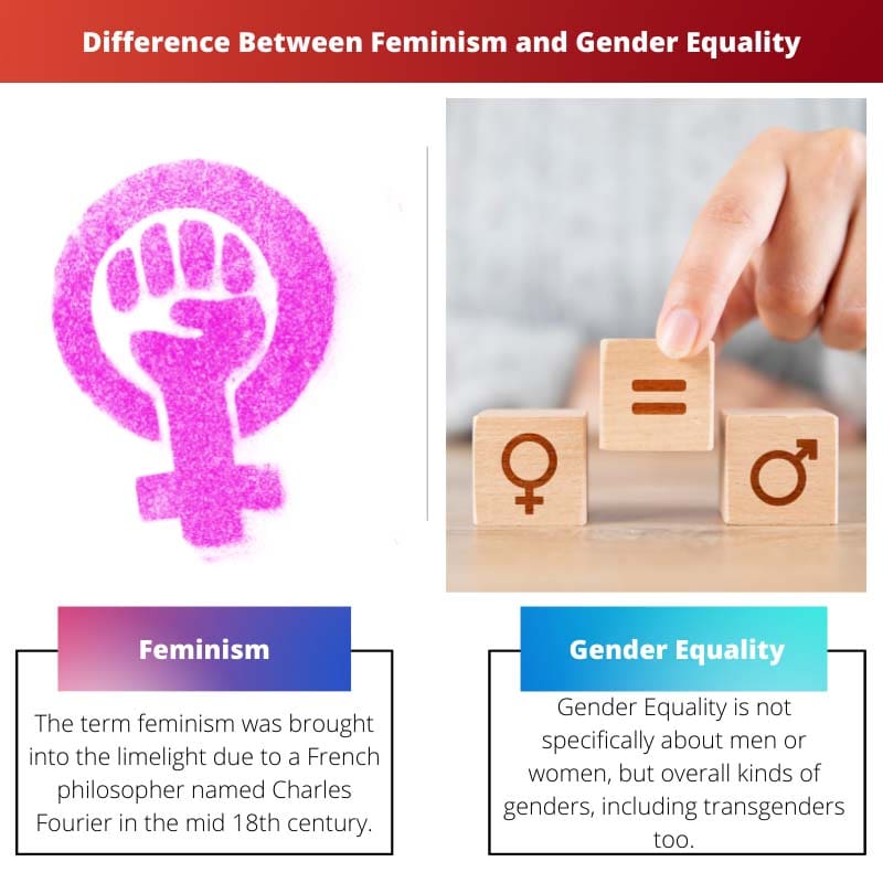 الفرق بين النسوية والمساواة بين الجنسين