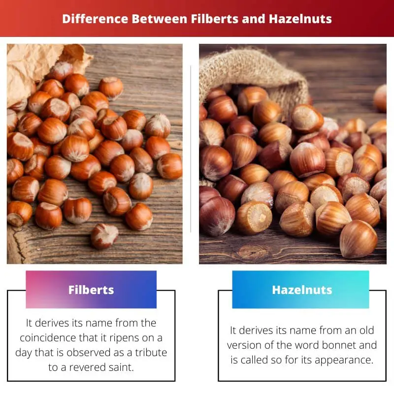 Sự khác biệt giữa Filberts và Hazelnuts