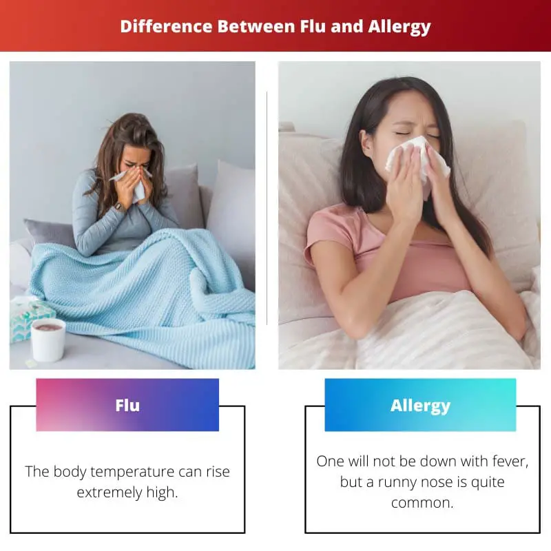 फ्लू और एलर्जी के बीच अंतर