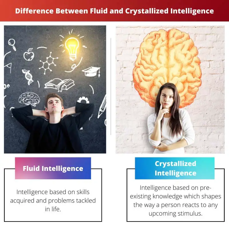 Unterschied zwischen flüssiger und kristallisierter Intelligenz