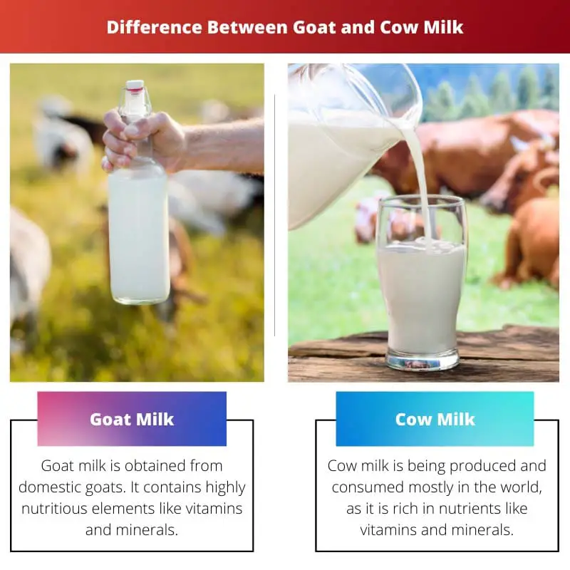 Diferencia entre leche de cabra y vaca