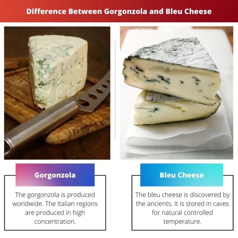 الفرق بين Gorgonzola و Bleu Cheese