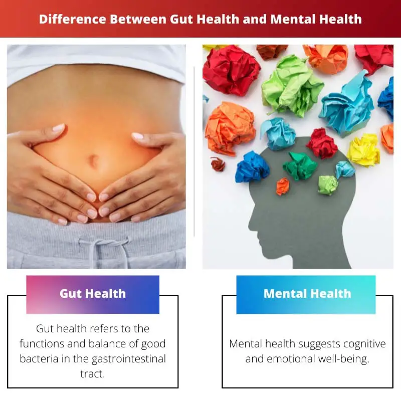 Difference Between Gut Health and Mental Health