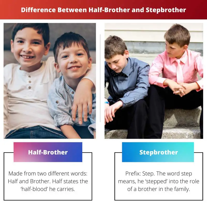 Difference Between Half Brother and Stepbrother