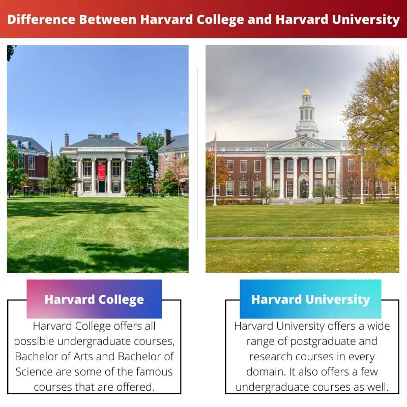 Difference Between Harvard College and Harvard University