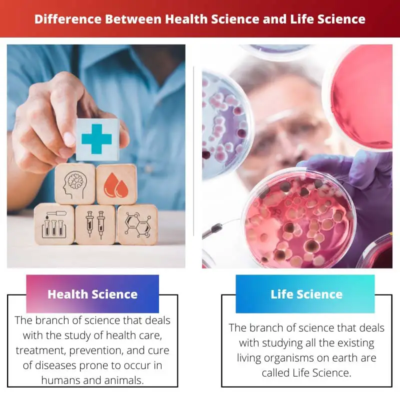 ความแตกต่างระหว่างวิทยาศาสตร์สุขภาพและวิทยาศาสตร์เพื่อชีวิต