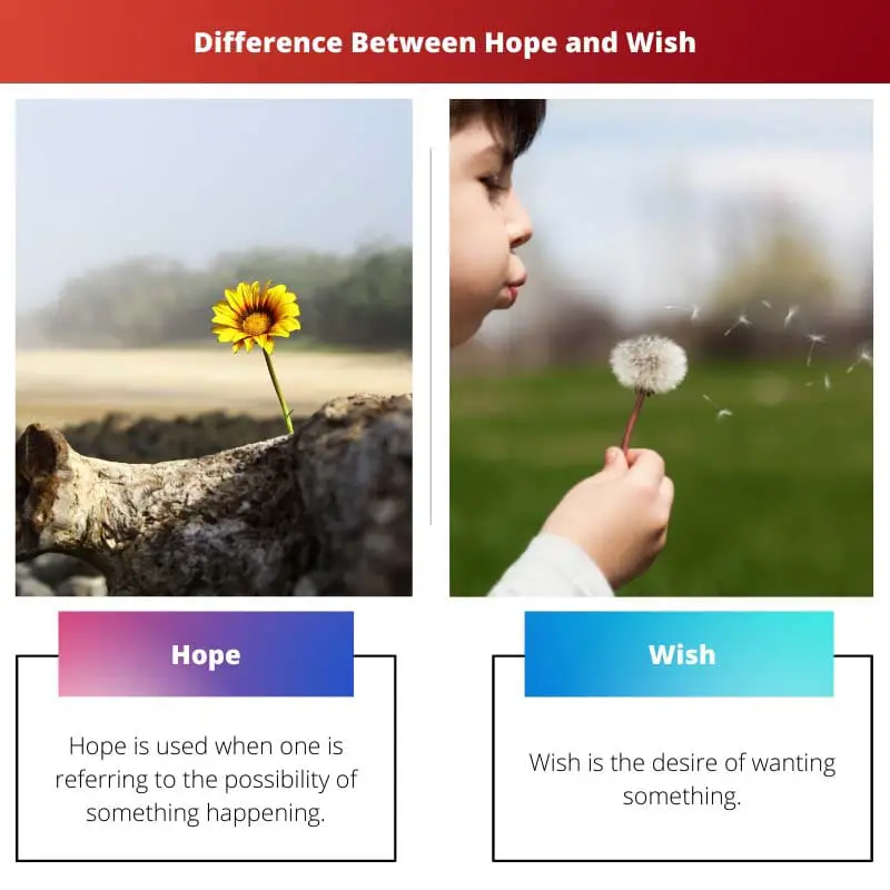 Difference Between Hope and Wish