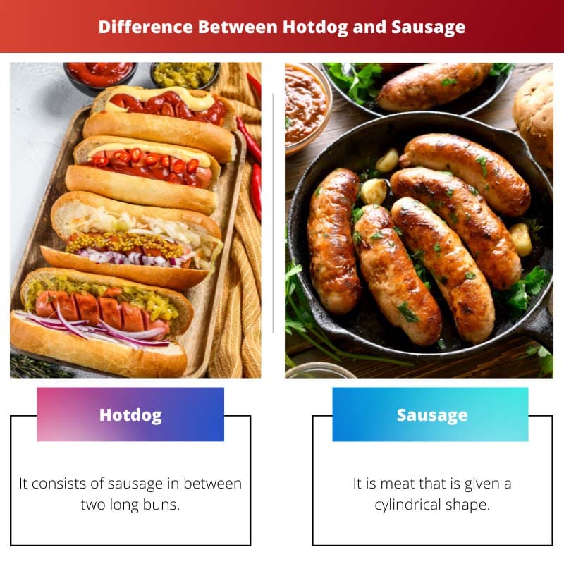 Differenza tra hot dog e salsiccia