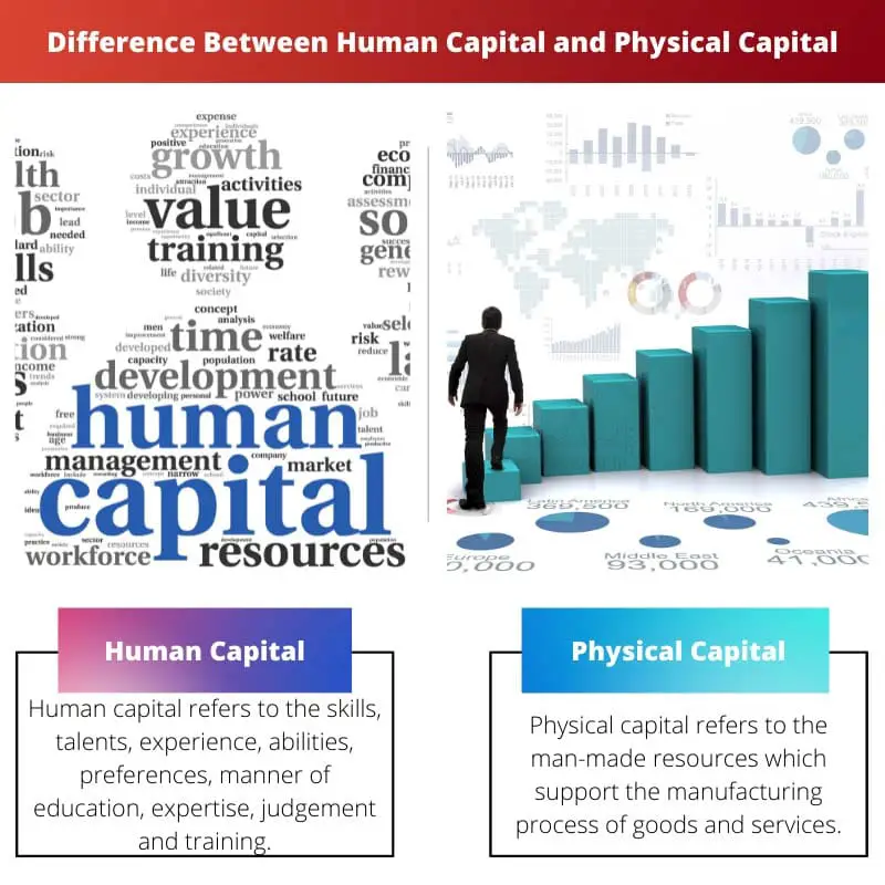 Разница между человеческим капиталом и физическим капиталом