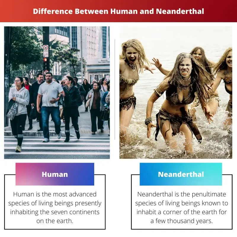 Difference Between Human and Neanderthal